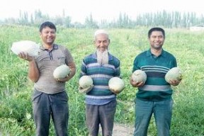 吃瓜网24小时,热点事件盘点，揭秘娱乐圈幕后真相