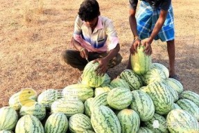 吃瓜网heilalo,带你走进热门话题背后的真相